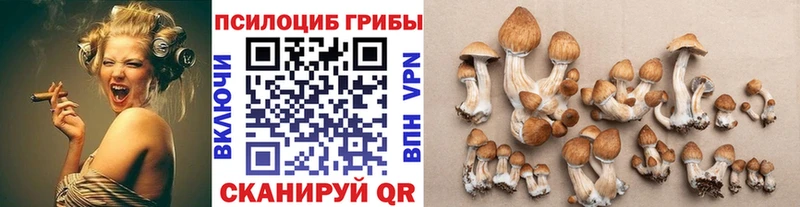 Галлюциногенные грибы прущие грибы  Железногорск 